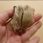 初音鮨 - 大船渡牡蠣(海のミルクと言われる牡蠣。ミルクのほどよい温度で食べる）