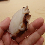 初音鮨 - 佐島地だこ(雄たこ。ワタリガニを食べているようで香りが良い)