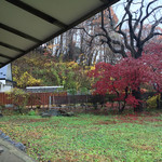 time&space 愛宕下 - 紅葉の季節です