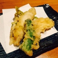 KOiBUMi - 