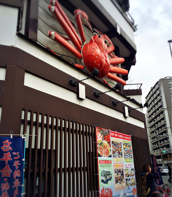 かにすき会席 金の舞 とカニの刺身 By Ike Recommend 札幌かに本家 福岡那の川店 西鉄平尾 かに 食べログ