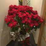 日本料理 樹 - 料亭島田から送られた見事なポインセチア