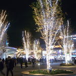 CNN Cafe - 夜のララポート♪