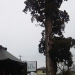 蕎麦切り あなざわ - 