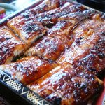 川広 - うな重　特上