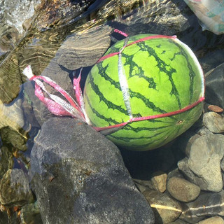 アメリカキャンプ村_0