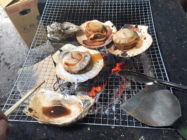 America Camp Mura photo 3