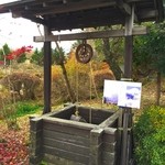 和食処 車や - 井戸がありました