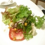 エメ・ヴィベール - 