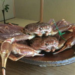 松川 - この日の間人蟹