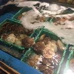 海光房 - 2015.12追加