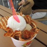 Aloha Gelato - 私も同じく２スクープカップのワッフル添え、ジャラートはココナッツとコナコーヒーを選んでみました。
            