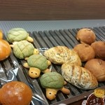 バッケンハイムボルガ - 君が噂の亀さんですね！