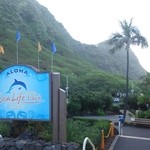 Sea Lion Café restaurant - 