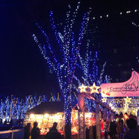 Serafina NEW YORK さいたま新都心店 - 
