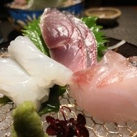 いまここ - 烏賊、締鯖、メダイ
