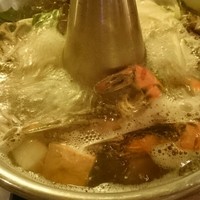 coci - 
