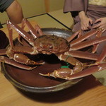 松川 - 間人蟹
