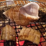 真つぶと蝦夷ハモ