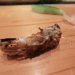 天寿し - 車エビ頭あぶり