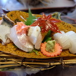 刺盛り 2015年12月