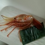 鮨のぶ - ボタンエビ・・・デカかったです。。。
