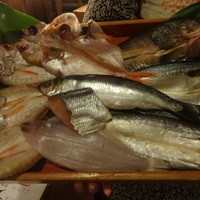 馳走紺屋 - この日のお魚