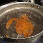 熱湯へど〜ん！