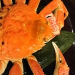 湯喜望 白扇 - 松葉ガニ