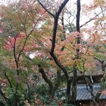 湯の岳庵 - 風情がありました！