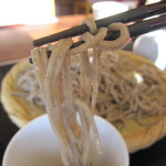蕎麦専門店 愉庵 - 「抜き」より、やや太めかな？