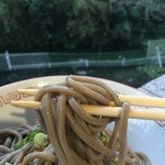 池内うどん店 - 今年最後の蕎麦２玉～