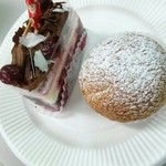 THEOBROMA BIS - 