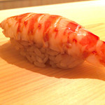 鮨 あらい - 2015/12夜_にぎり⑦車海老