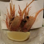 あぷちゃ - ＜2015年12月＞ボタン海老のお刺身の頭は唐揚げに♡