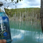 小麦畑と青い池 - 