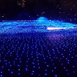 ビルボードライブ東京 - 東京ミッドタウン　2015イルミネーション