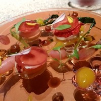 ピエール - オマール海老と大和黒鶏のムースサラダ