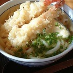 うどんの青山 - 天ぷらうどん♪ ￥８００
