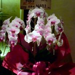 mel - 早くも常連となっている方もいるようだ。。。流石ですなぁ～