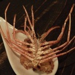 京橋テッパン食堂EF - エビの頭