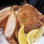 新和食 きくい - 2010/7/24 北海道の毛がに