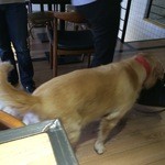 BAO BEI NOODLE BAR - 