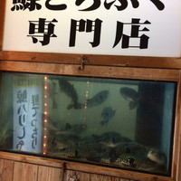 ふぐくじら - 