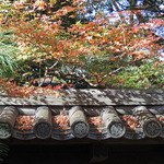 Kyoutotsuyushabuchiriri - 瑞峯院の紅葉（２）