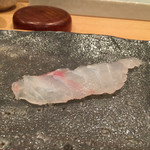 四季の鮨 蔵人 - 201512再訪  長崎 天然あこう