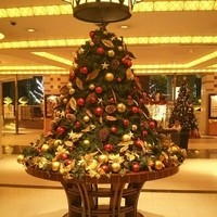 帝国ホテル 大阪 - 