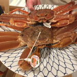 馬場乃町 はやし - 山形県庄内産ズワイガニ
      ブランド蟹『芳がに』
      元気に生きてるよ〜♪