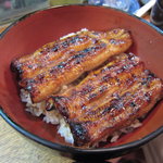 かぶと - 貴重な天然物のうな丼