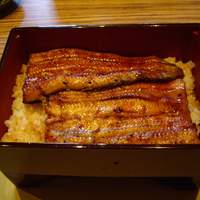 鰻割烹まえはら - 鰻重松開帳